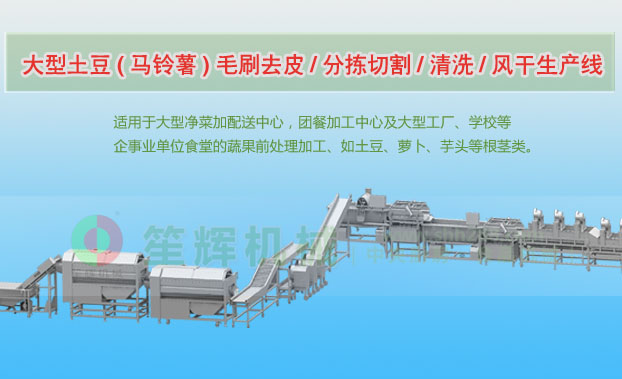 文安连续式土豆去皮清洗切割风干生产线